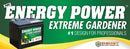 Energy Power Battery- 350CCA